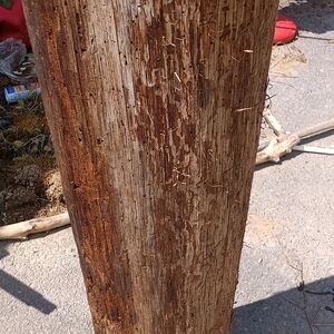 Rustic Wooden Decorative Piece